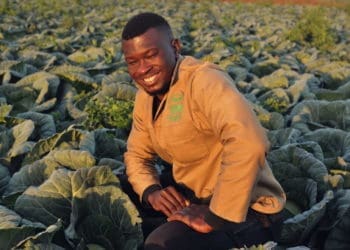 Emerging farmer Pfananani Augustine Masisi is slowly breaking into the retail market even though it was difficult in the beginning. He farms crops such as cabbage and spinach. He was a photographer before moving into farming. His biggest dream is to open an agricultural school to mentor young emerging farmers. Photo: Lucas Ledwaba/Mukurukuru Media