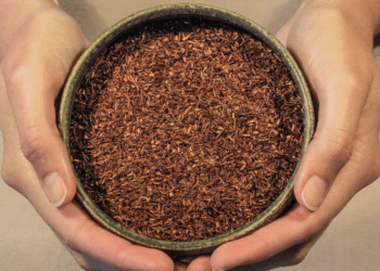 There is room for rooibos tea to be used for domestic use. Pictures by Flickr