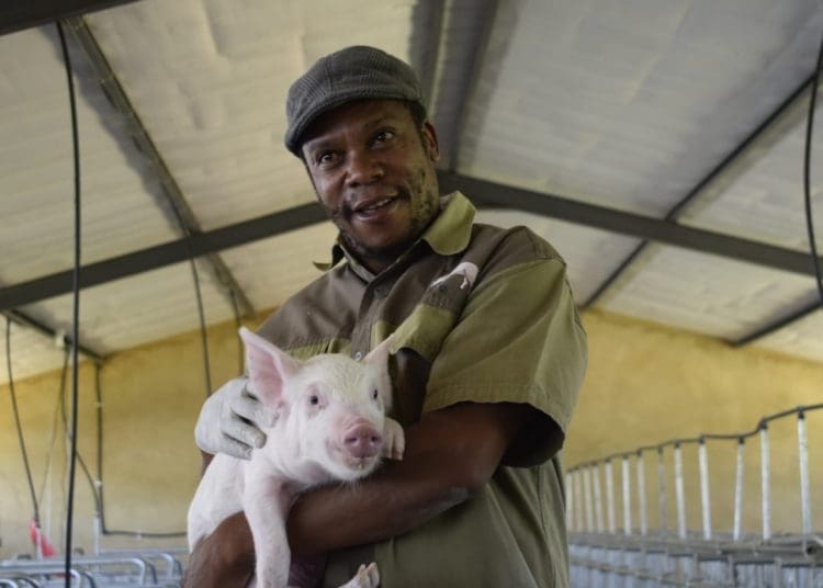 Magaliesberg farmer Ronnie McKenzie was inspired by his grandfather who owned a pig farm in Lesotho. Photo supplied.