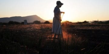Rosinah Mahlatji prepares the soil to plant butternut ahead of the rainy season. She is part of the at the Malokela Women's Project in Malokela, Sekhukhune in Limpopo. Photo: Lucas Ledwaba/Mukurukuru Media