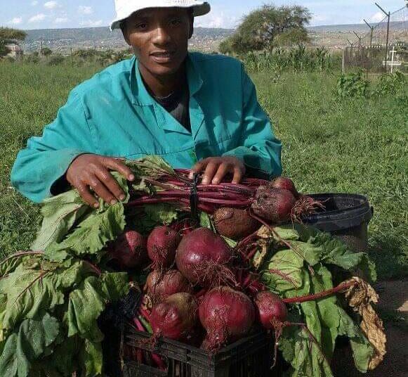 Lefa Kgwadimanyane from Jane Furse in Limpopo farms and sells beetroot. Photo : Supplied