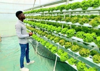 Oracle Farming Tech co-founder Kutlwano Tisane