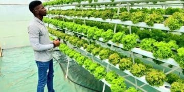 Oracle Farming Tech co-founder Kutlwano Tisane