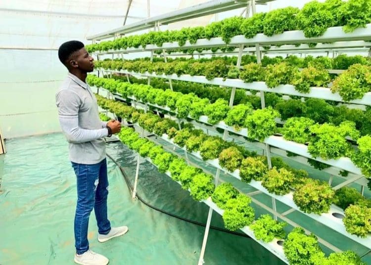 Oracle Farming Tech co-founder Kutlwano Tisane