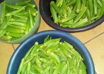 Okra that is produced by Godfrey Makhombothi