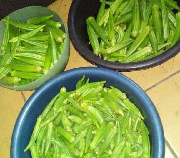 Okra that is produced by Godfrey Makhombothi