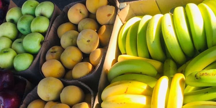 Some of the vegetables that are sold by Yanga Dlamini to feed his family