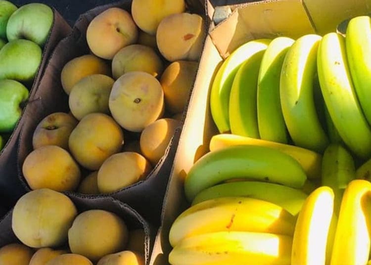 Some of the vegetables that are sold by Yanga Dlamini to feed his family