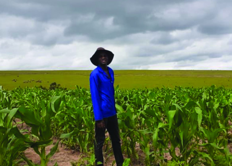 Nkosinathi Makamela who started Lolo Mixed Farming