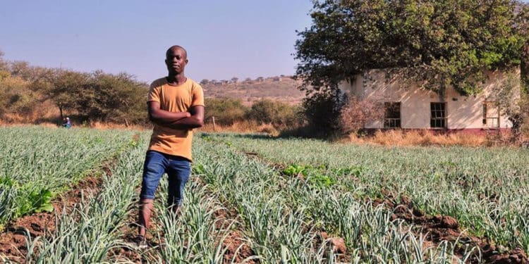 Maano Khodani who farms garlic and other vegetables