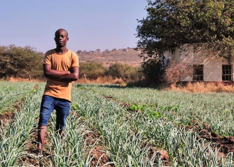 Maano Khodani who farms garlic and other vegetables