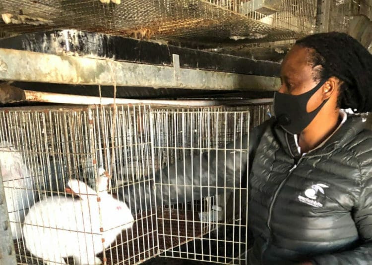 Daisy Moleko, owner of rabbit farm