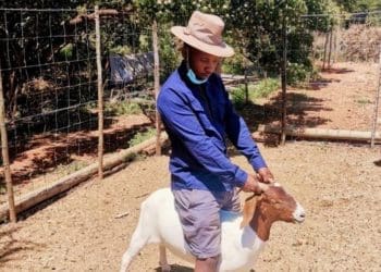 Farmer Mabhoko Mabotja