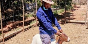 Farmer Mabhoko Mabotja