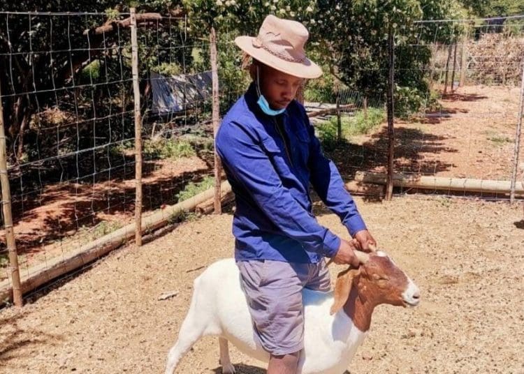 Farmer Mabhoko Mabotja