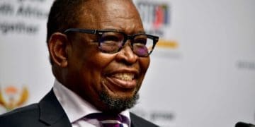 Finance minister Enoch Godongwane