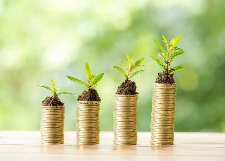 Millions set aside in Gauteng to build township economy