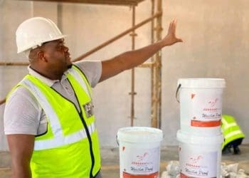 Lungisani Zwane of Zebraah Paints