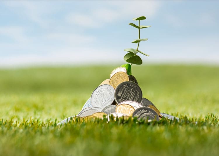 NEF has entered into a partnership with the Sun City Resort to set up fund for small businesses