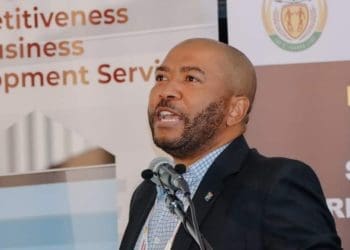 Small Business Development’s Chief Director for Enterprise Supplier Development, Mzoxolo Maki