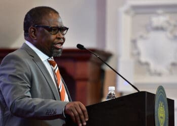 Finance Minister Enoch Godongwana. Supplied by GCIS