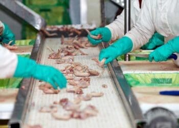 Agro-Processing Support Scheme relaunched