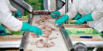 Agro-Processing Support Scheme relaunched