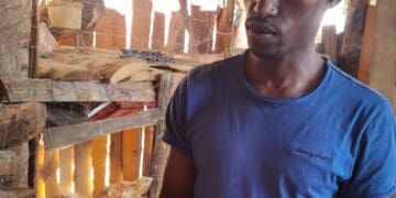 Tshepisho Tladi at his farm