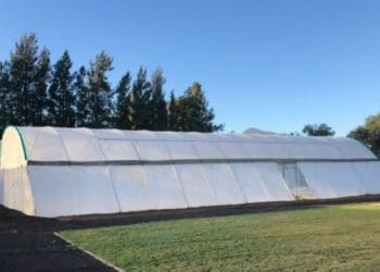 Green house farming by Joe Faber