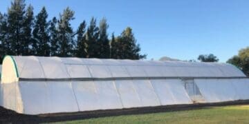 Green house farming by Joe Faber