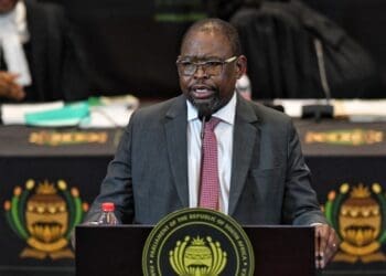 Finance Minister Enoch Godongwana