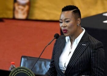 Small Business Development Minister Stella Ndabeni-Abrahams