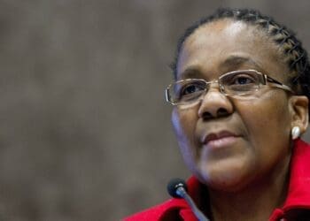 Small Business Development Deputy Minister Dipuo Peters