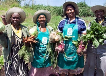 Alecia (53) started the Esigodini Farmers Primary Cooperative in 2011 in the rural area of Illovu, near Amanzimtoti in KwaZulu-Natal. Since then, she and her team have been farming for the community on a 2.5-hectare plot.