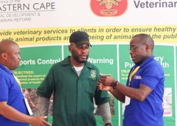 TARDI animal health tech