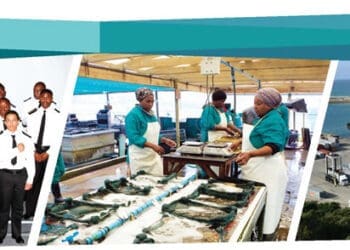 Operation Phakisa-collage by GCIS