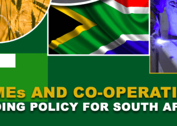 Funding policy for SMMEs and co-operatives may not assist