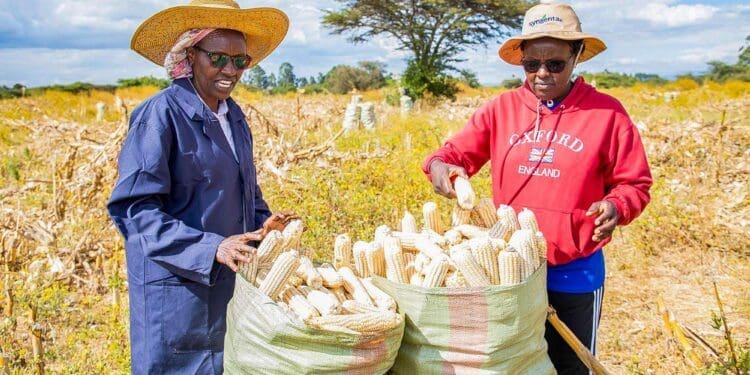 Farmers need support programmes