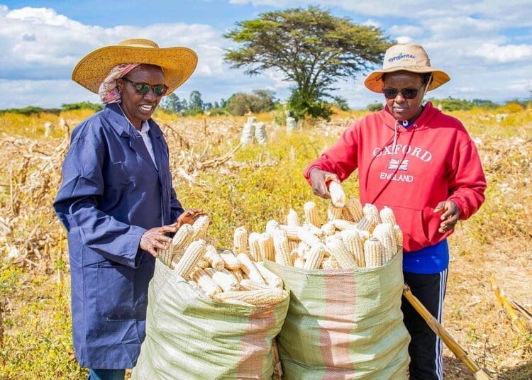 Farmers need support programmes