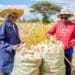 Farmers need support programmes