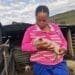 Zintle James of 
Smeja’s Fresh Harvest piggery