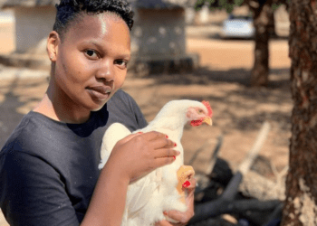 Poultry farmer Ntsako Shipalana