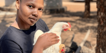Poultry farmer Ntsako Shipalana
