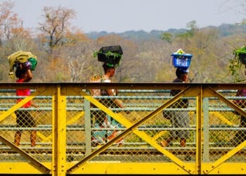 Cross border traders