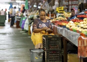 Tshwane small businesses need support