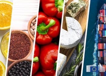 Playing field not levelled for black-owned SMMEs exporters