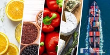 Playing field not levelled for black-owned SMMEs exporters