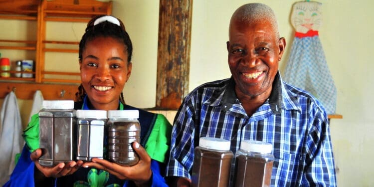 Liza Legodi and her father Lesiba showing off the coffee beans they plant