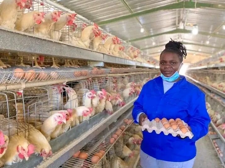 Lungile Mkhize owner of Lungile Poultry Farm