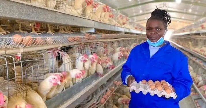 Lungile Mkhize owner of Lungile Poultry Farm
